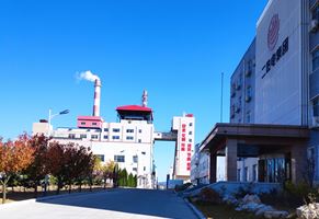 Weihai Wendeng Thermal Power Co., Ltd. 90th Fluidized Bed Low Nitrogen Transformation Project